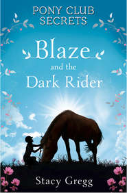 бесплатно читать книгу Blaze and the Dark Rider автора Stacy Gregg