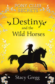 бесплатно читать книгу Destiny and the Wild Horses автора Stacy Gregg