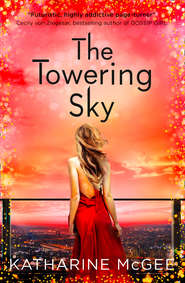 бесплатно читать книгу The Towering Sky автора Катарина Макги