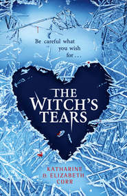 бесплатно читать книгу The Witch’s Tears автора Katharine Corr