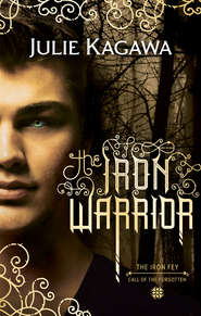 бесплатно читать книгу The Iron Warrior автора Julie Kagawa