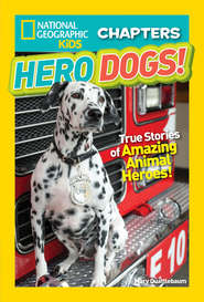 бесплатно читать книгу National Geographic Kids Chapters: Hero Dogs автора Mary Quattlebaum