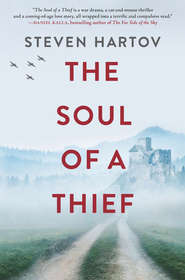 бесплатно читать книгу The Soul Of A Thief автора Steven Hartov