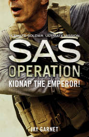 бесплатно читать книгу Kidnap the Emperor! автора Jay Garnet