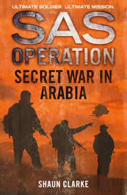 бесплатно читать книгу Secret War in Arabia автора Shaun Clarke