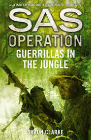 бесплатно читать книгу Guerrillas in the Jungle автора Shaun Clarke