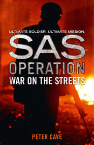бесплатно читать книгу War on the Streets автора Peter Cave