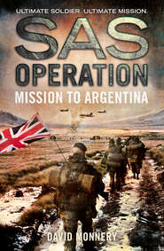 бесплатно читать книгу Mission to Argentina автора David Monnery