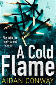 бесплатно читать книгу A Cold Flame: A gripping crime thriller that will keep you hooked автора Aidan Conway