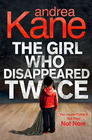 бесплатно читать книгу The Girl Who Disappeared Twice автора Andrea Kane