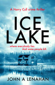 бесплатно читать книгу Ice Lake: A gripping crime debut that keeps you guessing until the final page автора John Lenahan