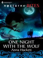 бесплатно читать книгу One Night with the Wolf автора Anna Hackett