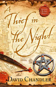 бесплатно читать книгу A Thief in the Night автора David Chandler