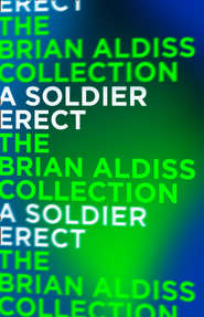 бесплатно читать книгу A Soldier Erect: or Further Adventures of the Hand-Reared Boy автора Brian Aldiss