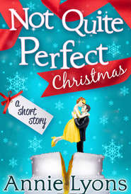 бесплатно читать книгу A Not Quite Perfect Christmas автора Annie Lyons