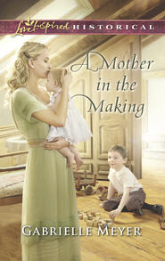 бесплатно читать книгу A Mother In The Making автора Gabrielle Meyer