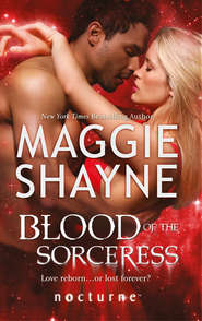 бесплатно читать книгу Blood of the Sorceress автора Maggie Shayne