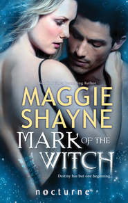 бесплатно читать книгу Mark of the Witch автора Maggie Shayne