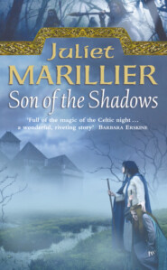 бесплатно читать книгу Son of the Shadows автора Juliet Marillier