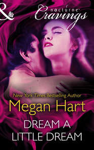 бесплатно читать книгу Dream a Little Dream автора Megan Hart