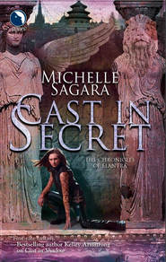 бесплатно читать книгу Cast In Secret автора Michelle Sagara