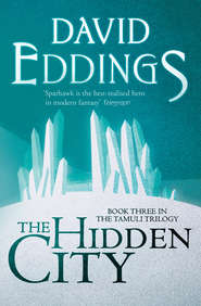 бесплатно читать книгу The Hidden City автора David Eddings