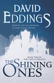 бесплатно читать книгу The Shining Ones автора David Eddings