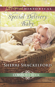 бесплатно читать книгу Special Delivery Baby автора Sherri Shackelford