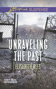 бесплатно читать книгу Unraveling The Past автора Elisabeth Rees