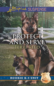 бесплатно читать книгу Protect And Serve автора Terri Reed