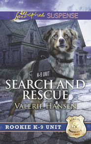 бесплатно читать книгу Search And Rescue автора Valerie Hansen