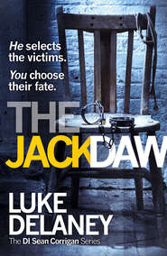 бесплатно читать книгу The Jackdaw автора Luke Delaney
