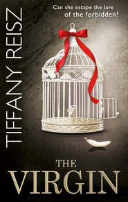 бесплатно читать книгу The Virgin автора Tiffany Reisz