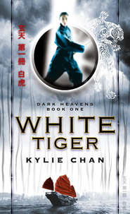 бесплатно читать книгу White Tiger автора Kylie Chan