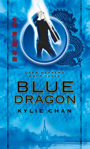 бесплатно читать книгу Blue Dragon автора Kylie Chan