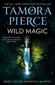 бесплатно читать книгу Wild Magic автора Tamora Pierce