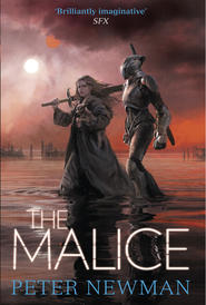 бесплатно читать книгу The Malice автора Peter Newman