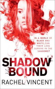 бесплатно читать книгу Shadow Bound автора Rachel Vincent