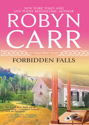 бесплатно читать книгу Forbidden Falls автора Робин Карр