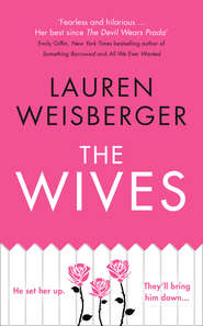 бесплатно читать книгу The Wives автора Лорен Вайсбергер