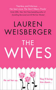 бесплатно читать книгу The Wives автора Лорен Вайсбергер