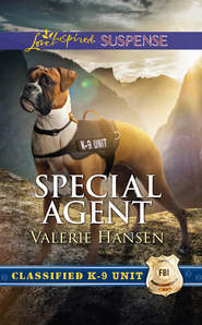 бесплатно читать книгу Special Agent автора Valerie Hansen