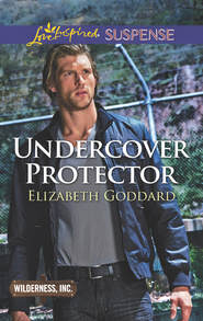 бесплатно читать книгу Undercover Protector автора Elizabeth Goddard