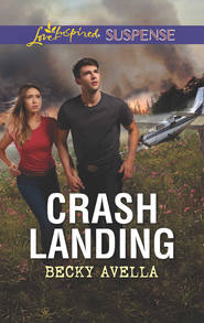 бесплатно читать книгу Crash Landing автора Becky Avella