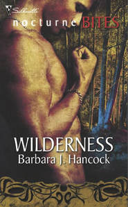 бесплатно читать книгу Wilderness автора Barbara Hancock