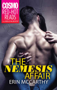 бесплатно читать книгу The Nemesis Affair автора Erin McCarthy