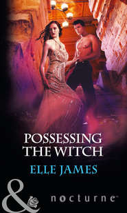 бесплатно читать книгу Possessing the Witch автора Elle James
