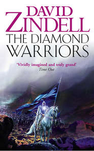 бесплатно читать книгу The Diamond Warriors автора David Zindell