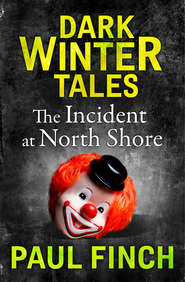 бесплатно читать книгу The Incident at North Shore автора Paul Finch