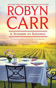 бесплатно читать книгу A Summer in Sonoma автора Робин Карр